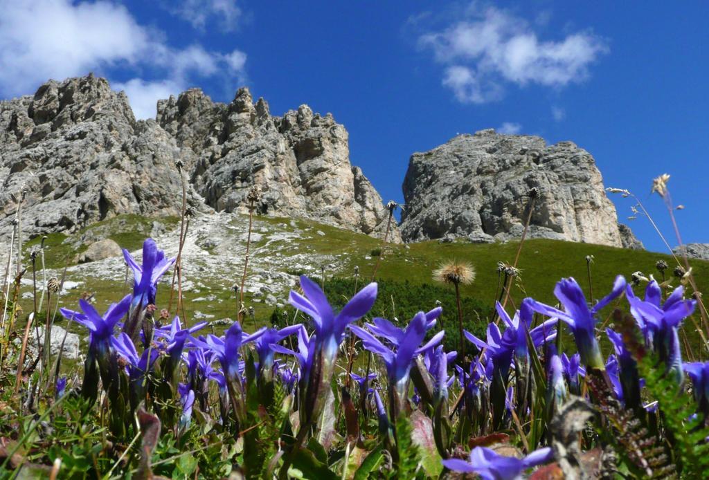 Apartments Mezdi Santa Cristina Val Gardena Экстерьер фото